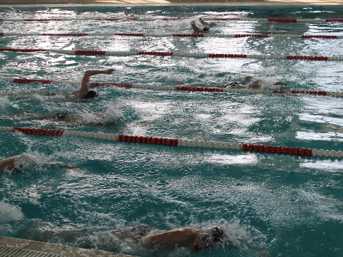 Спортивная школа 5 шахты. Тренера по плаванию дворец спорта Шахты. Плавание Шахты дворец спорта 5 школа ДЮСШ.